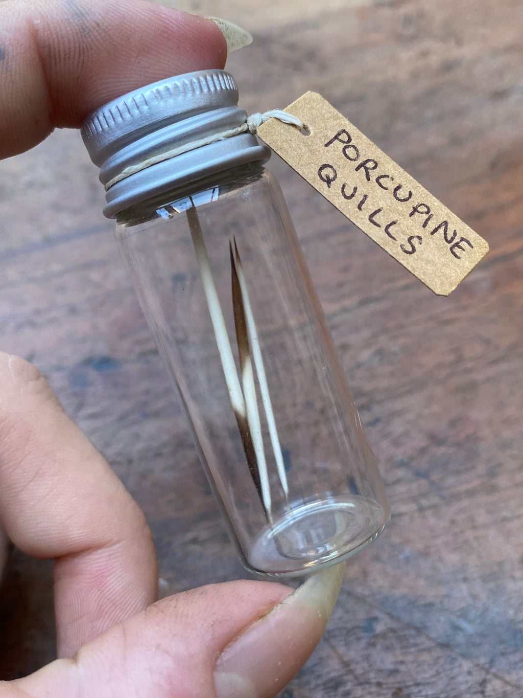 Porcupine Quills in Glass Vial