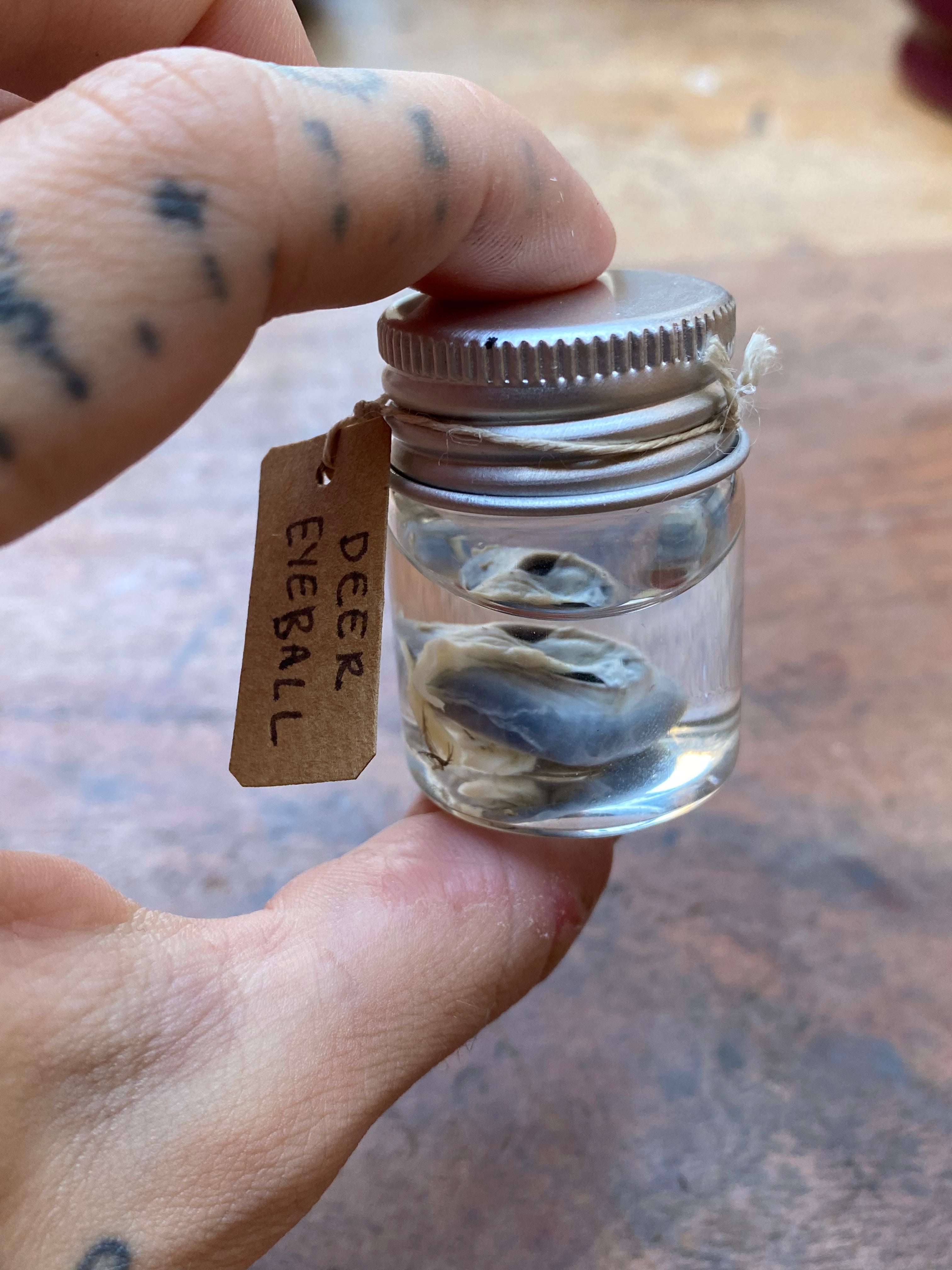 Deer Eyeball Wet Specimen