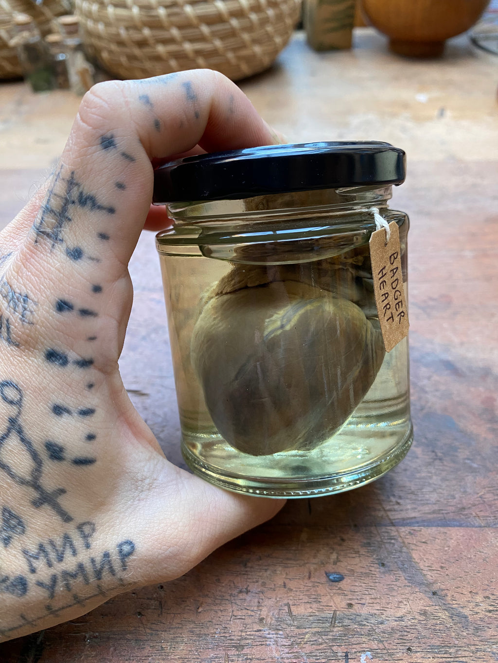 Badger Heart Wet Specimen