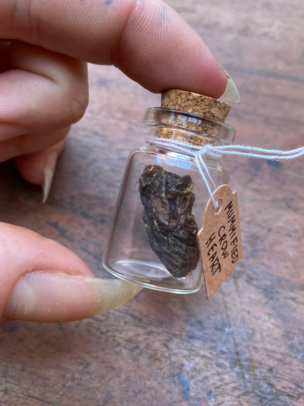 Mummified Crow Heart in Glass Vial