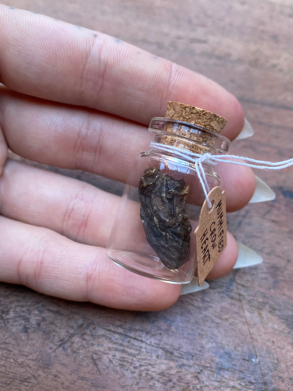 Mummified Crow Heart in Glass Vial