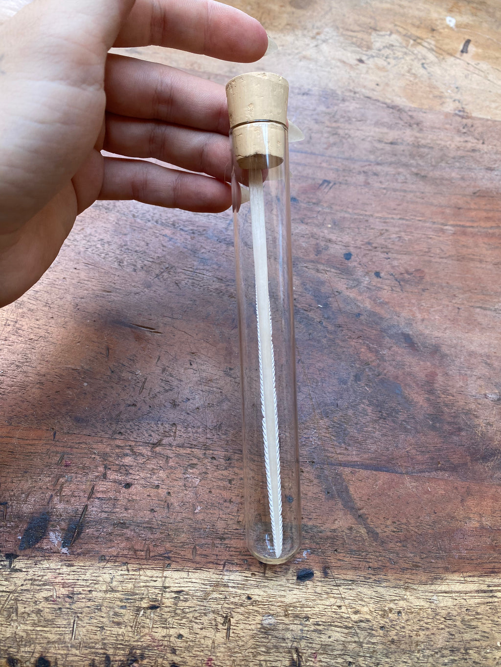 Large Stingray Stinger in Glass Vial