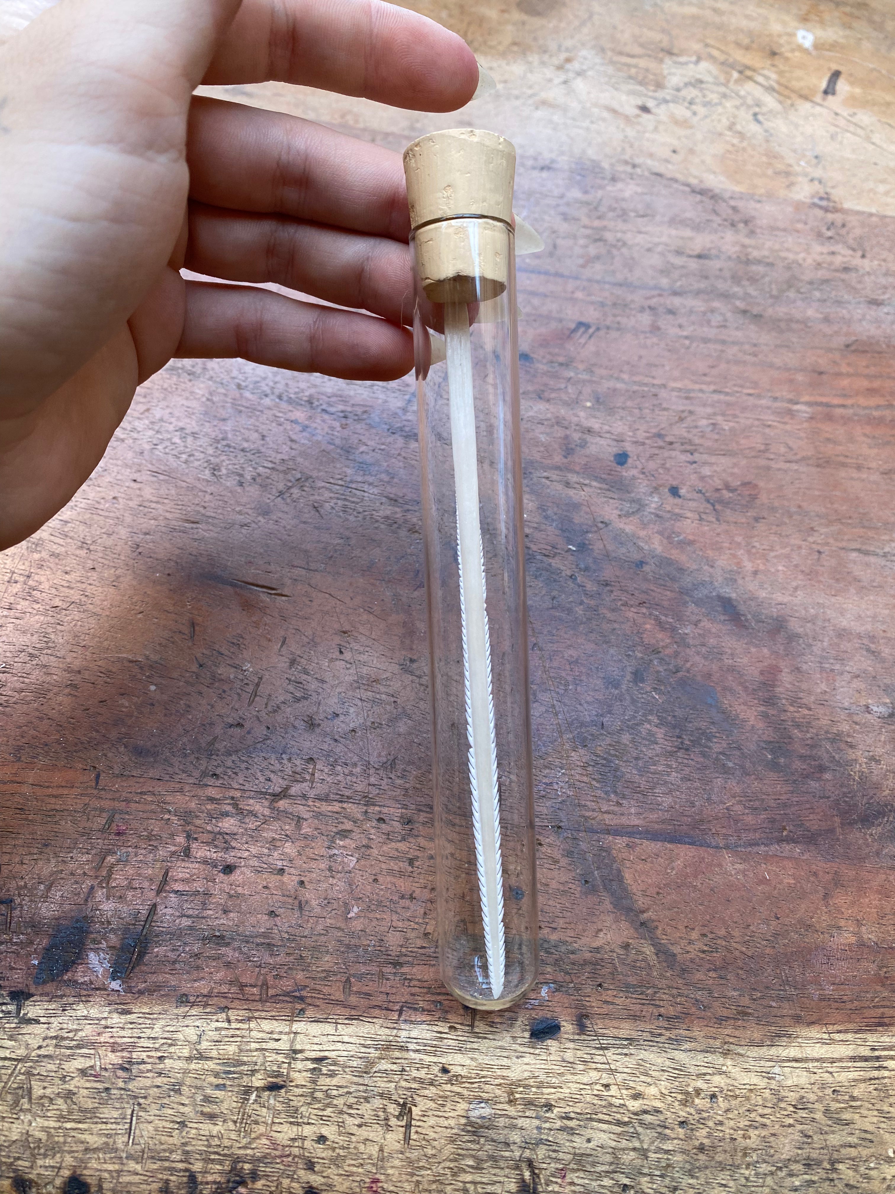 Large Stingray Stinger in Glass Vial
