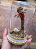 Red Cotton Stainer Bug (Dysdercus cingulatus) Glass Diorama
