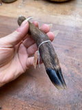 Muntjack Deer Paw