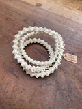 Rattle Snake Vertebrae