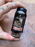 Decorated Cottonmouth Snake Wet Specimen