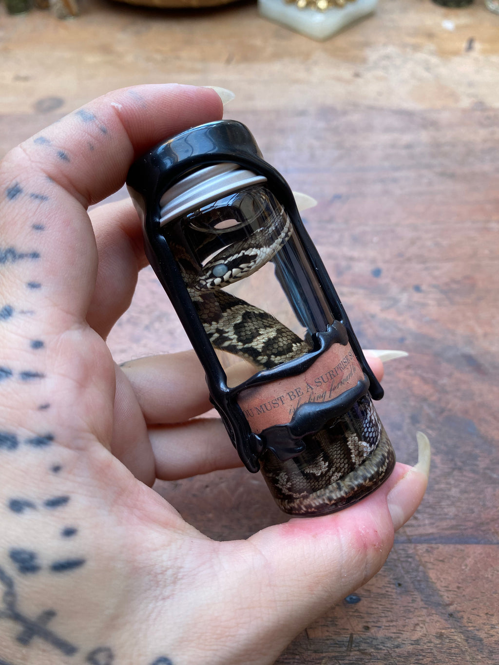 Decorated Cottonmouth Snake Wet Specimen