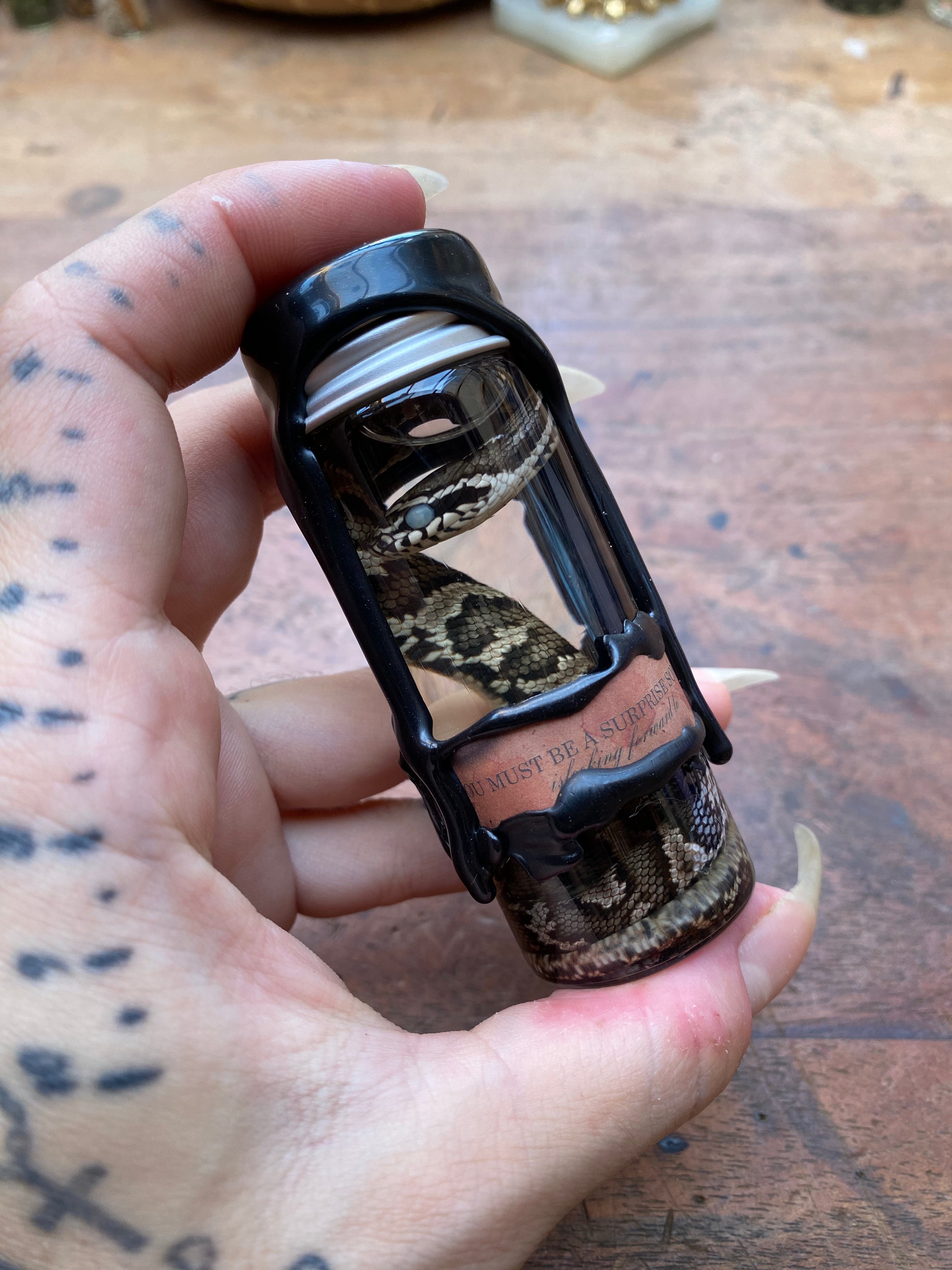 Decorated Cottonmouth Snake Wet Specimen
