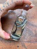 Common Garter Snake Wet Specimen
