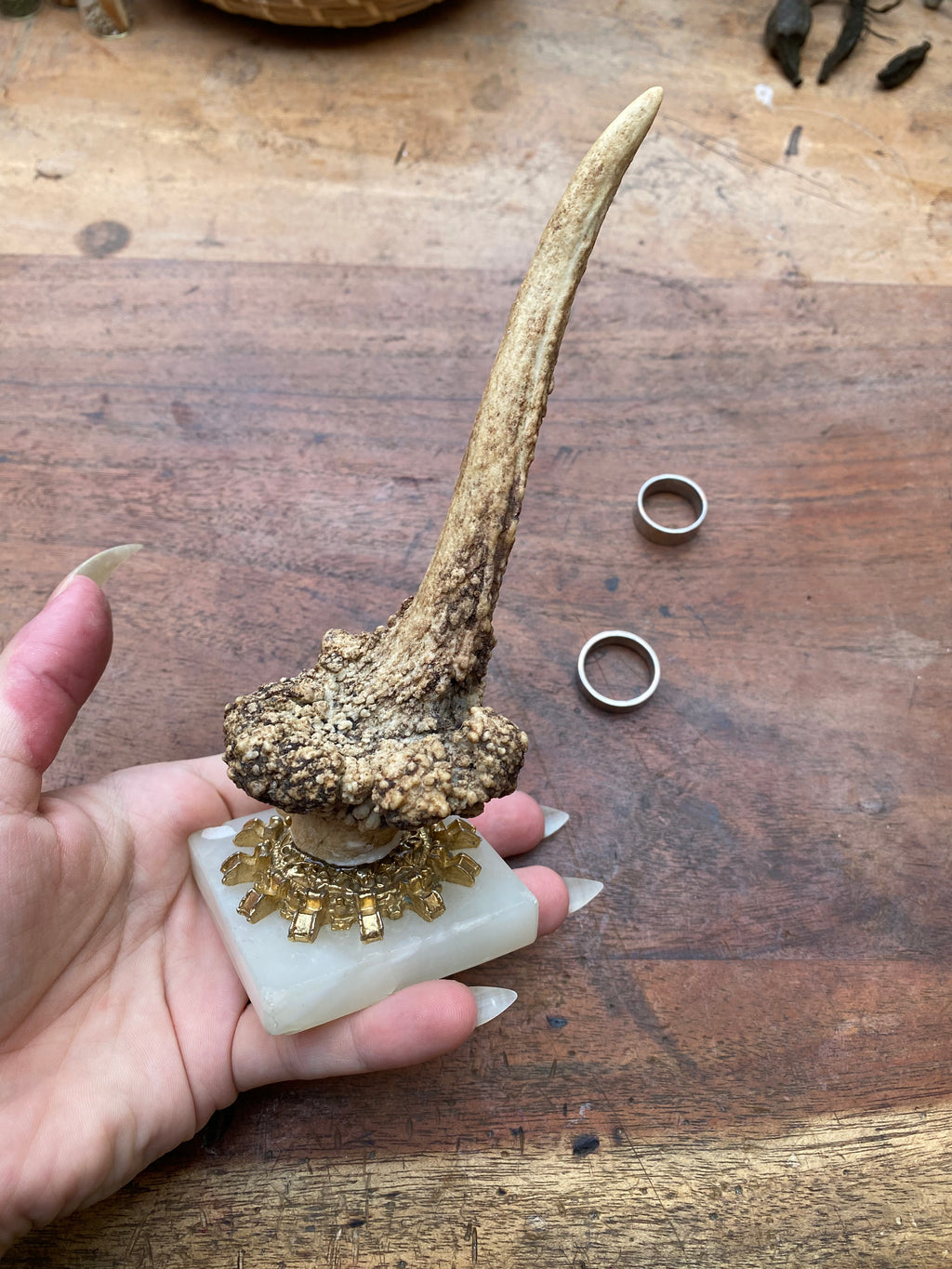 Antler and Crystal Stand Ring Holder
