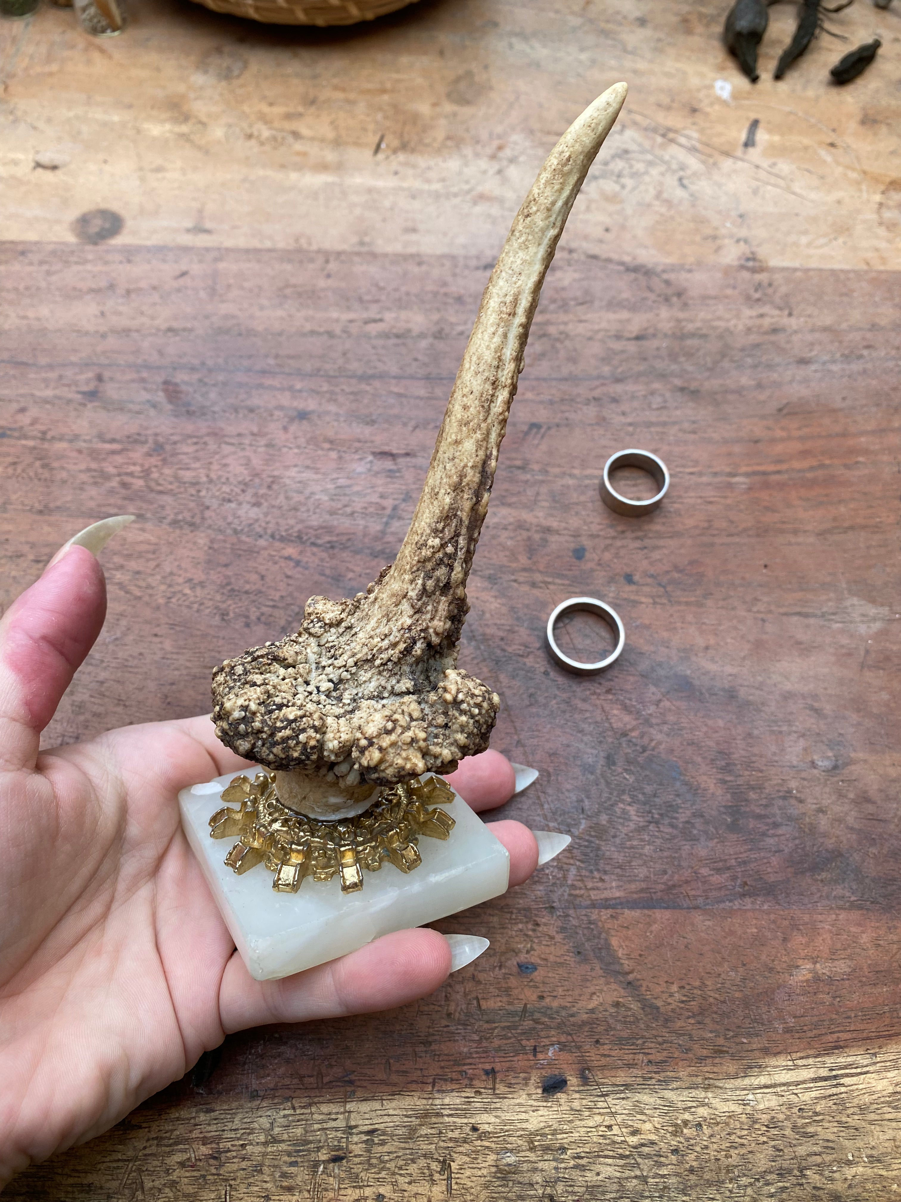Antler and Crystal Stand Ring Holder
