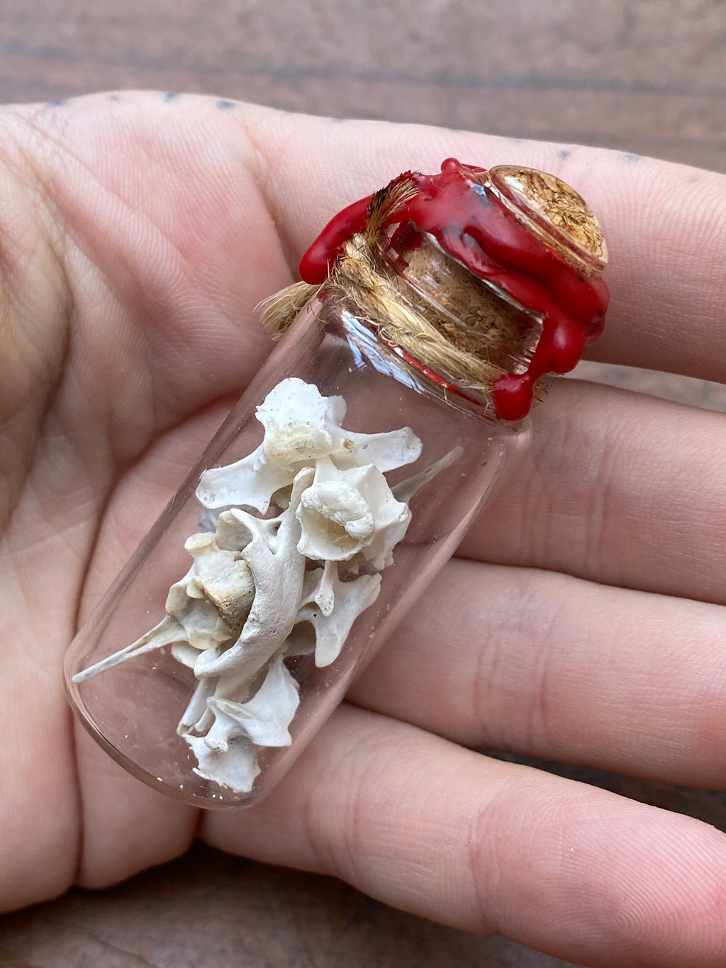 Bones in Glass Vial Spell Jar