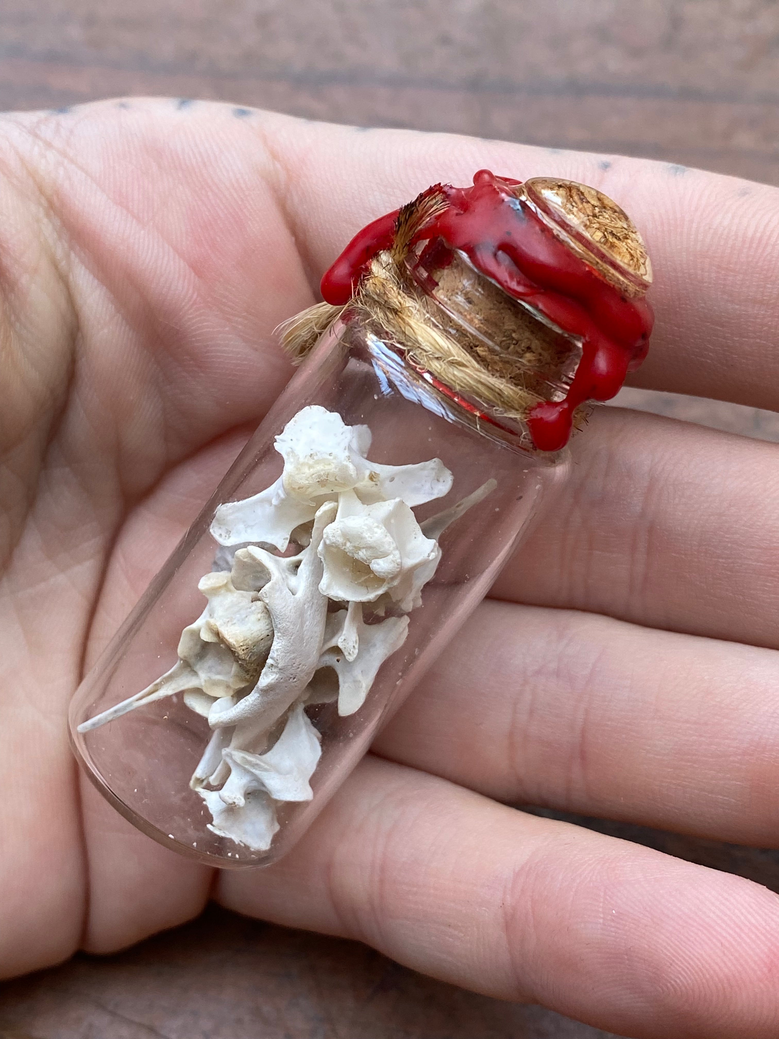 Bones in Glass Vial Spell Jar