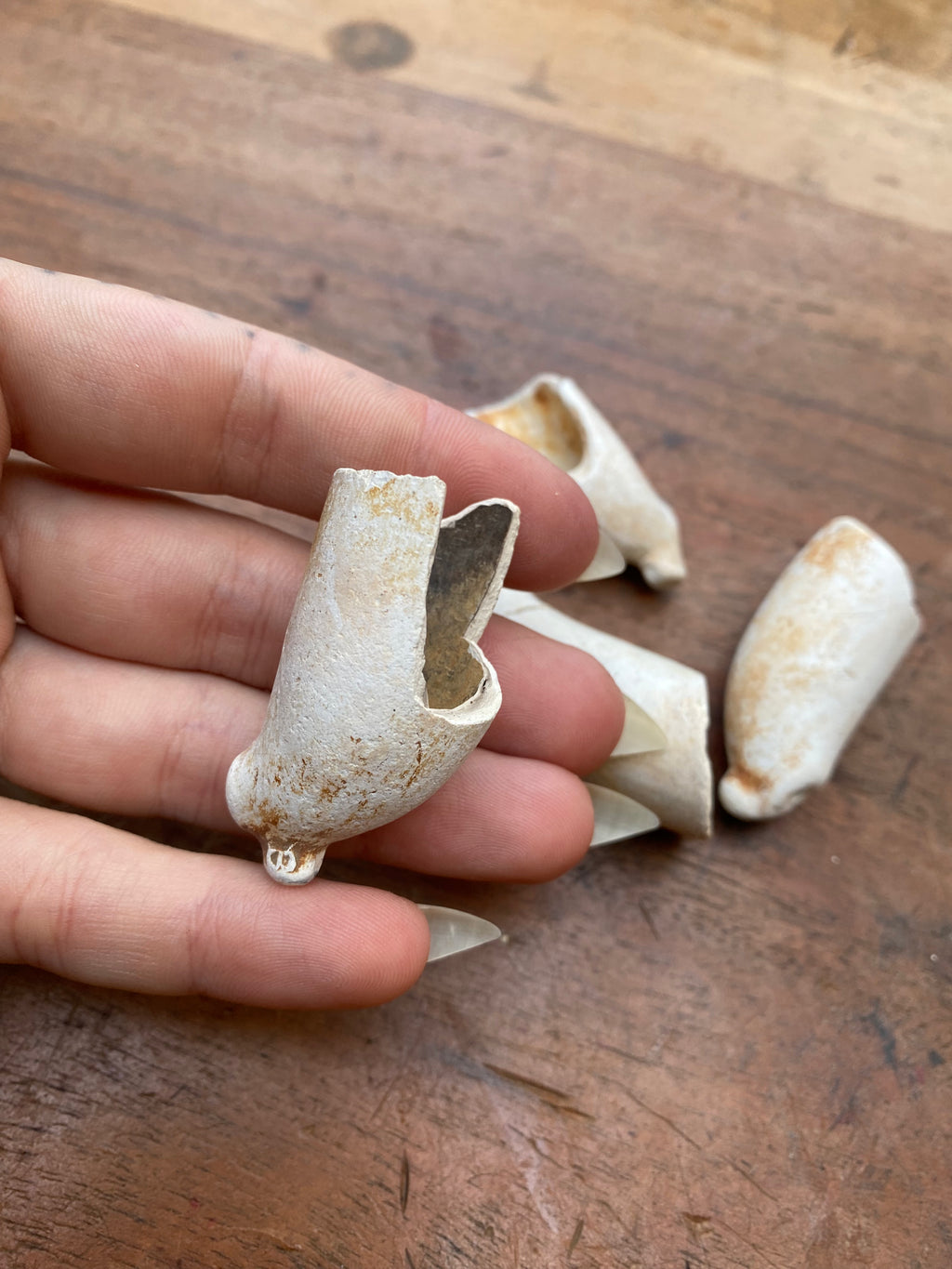 Mudlarked Thames Victorian Ceramic Smoking Pipes