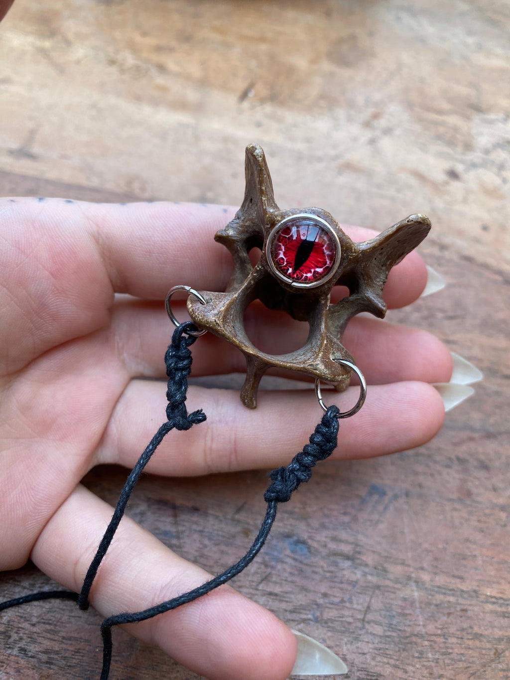 Mudlarked Veretebrae Bones with Eyes Pendulum