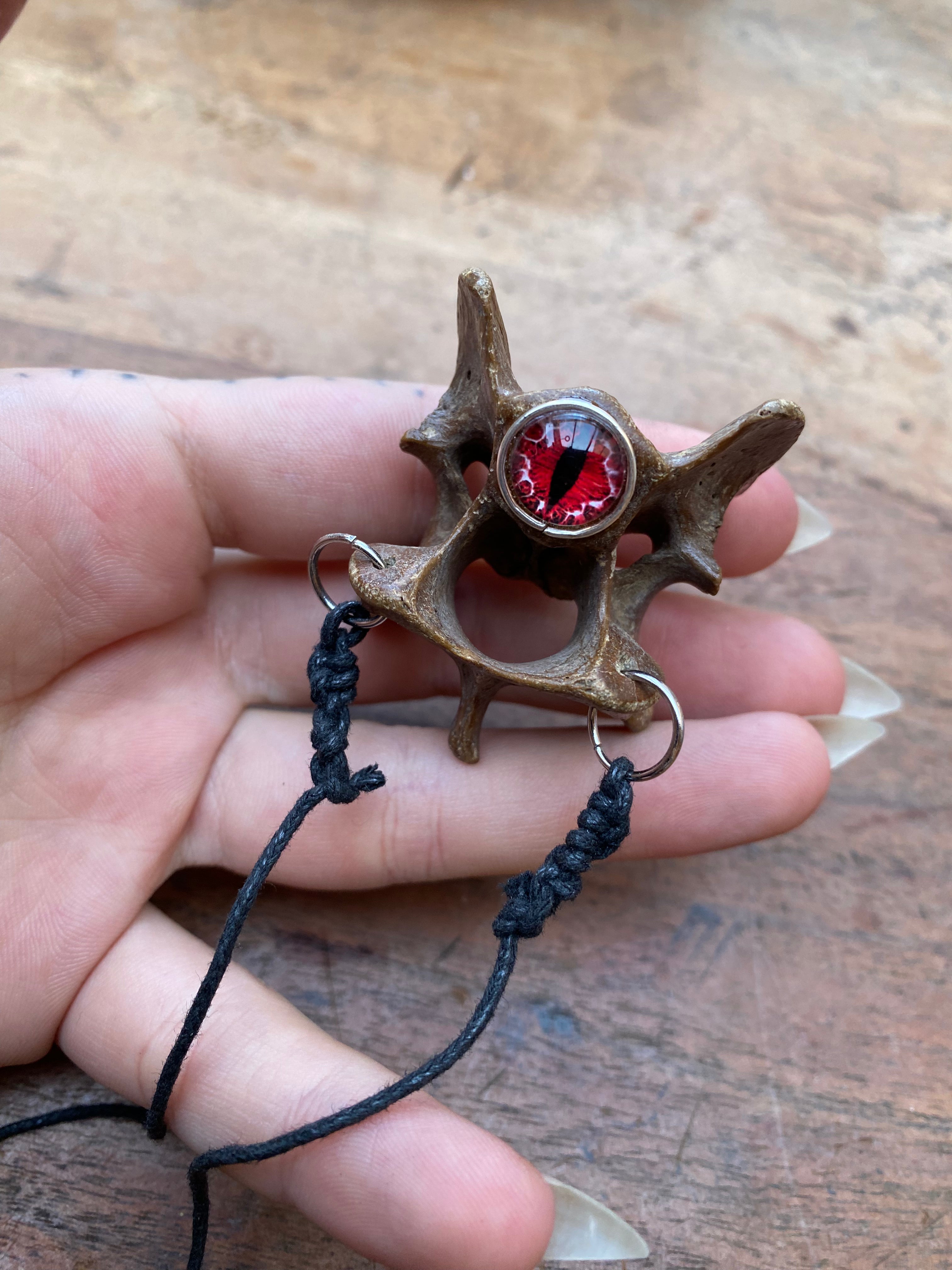 Mudlarked Veretebrae Bones with Eyes Pendulum