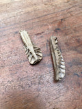 Mudlarked Animal Skull Fragments