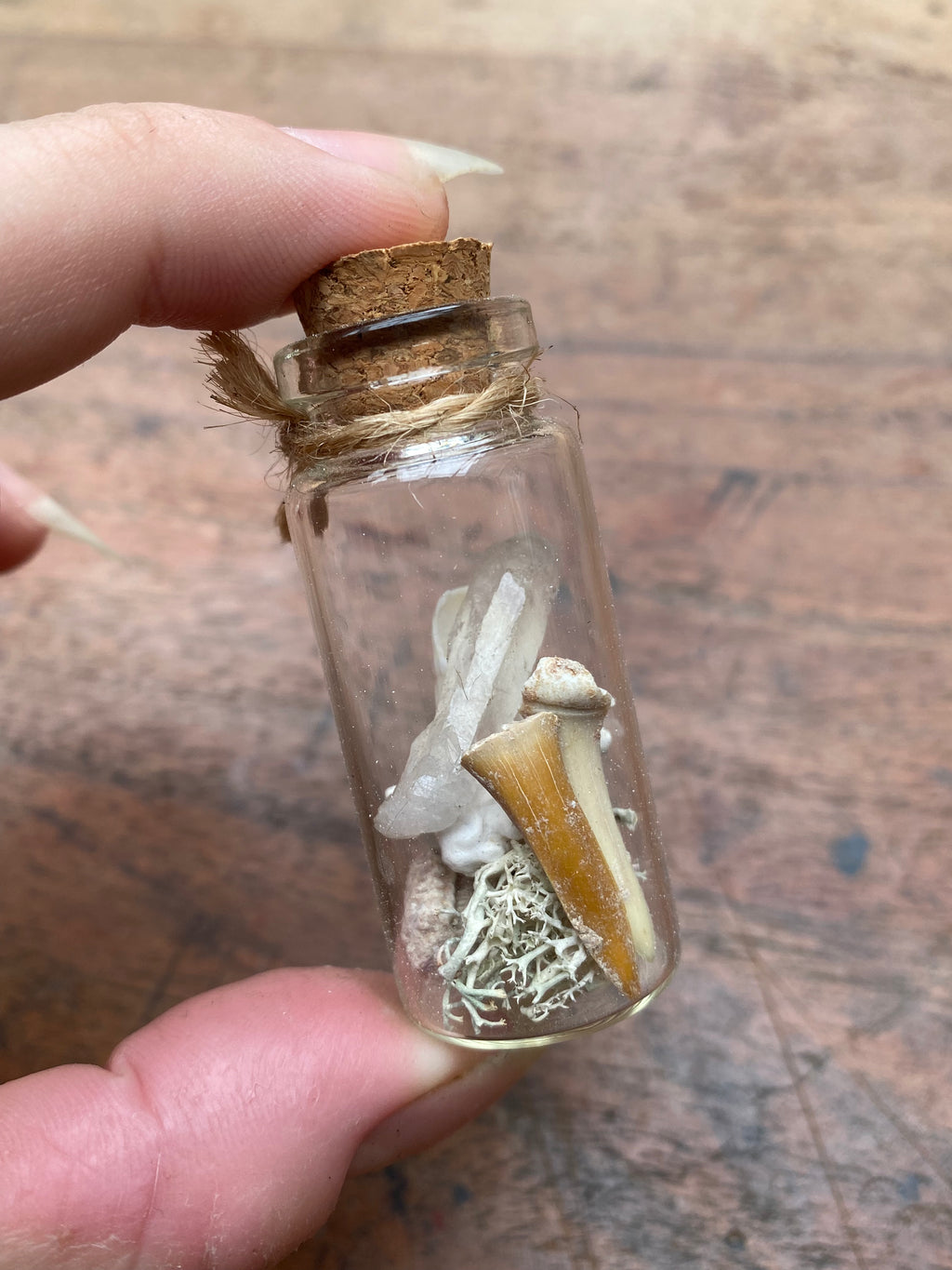 Crystal and Fossilised Shark Teeth Glass Spell Jar