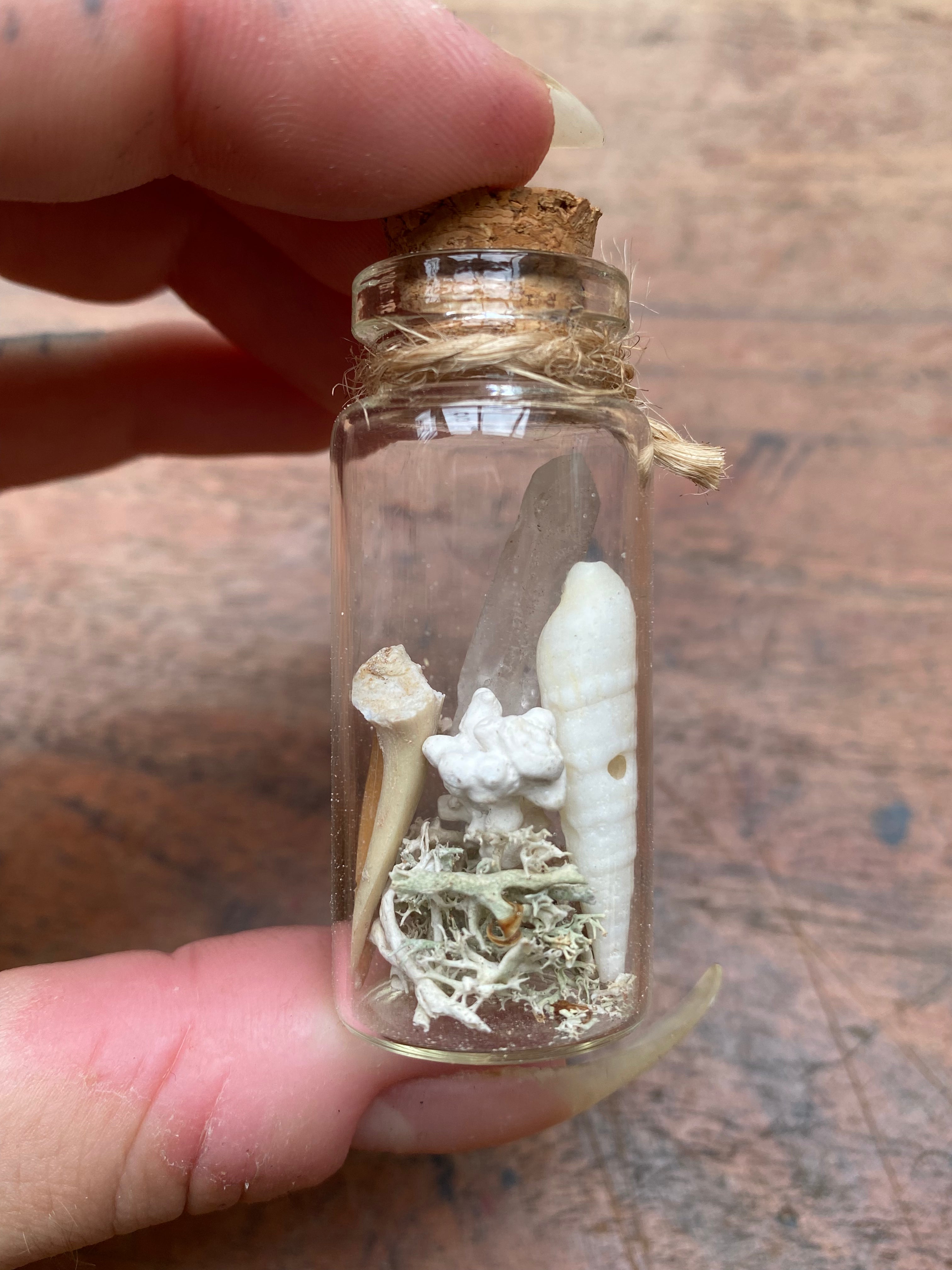 Crystal and Fossilised Shark Teeth Glass Spell Jar