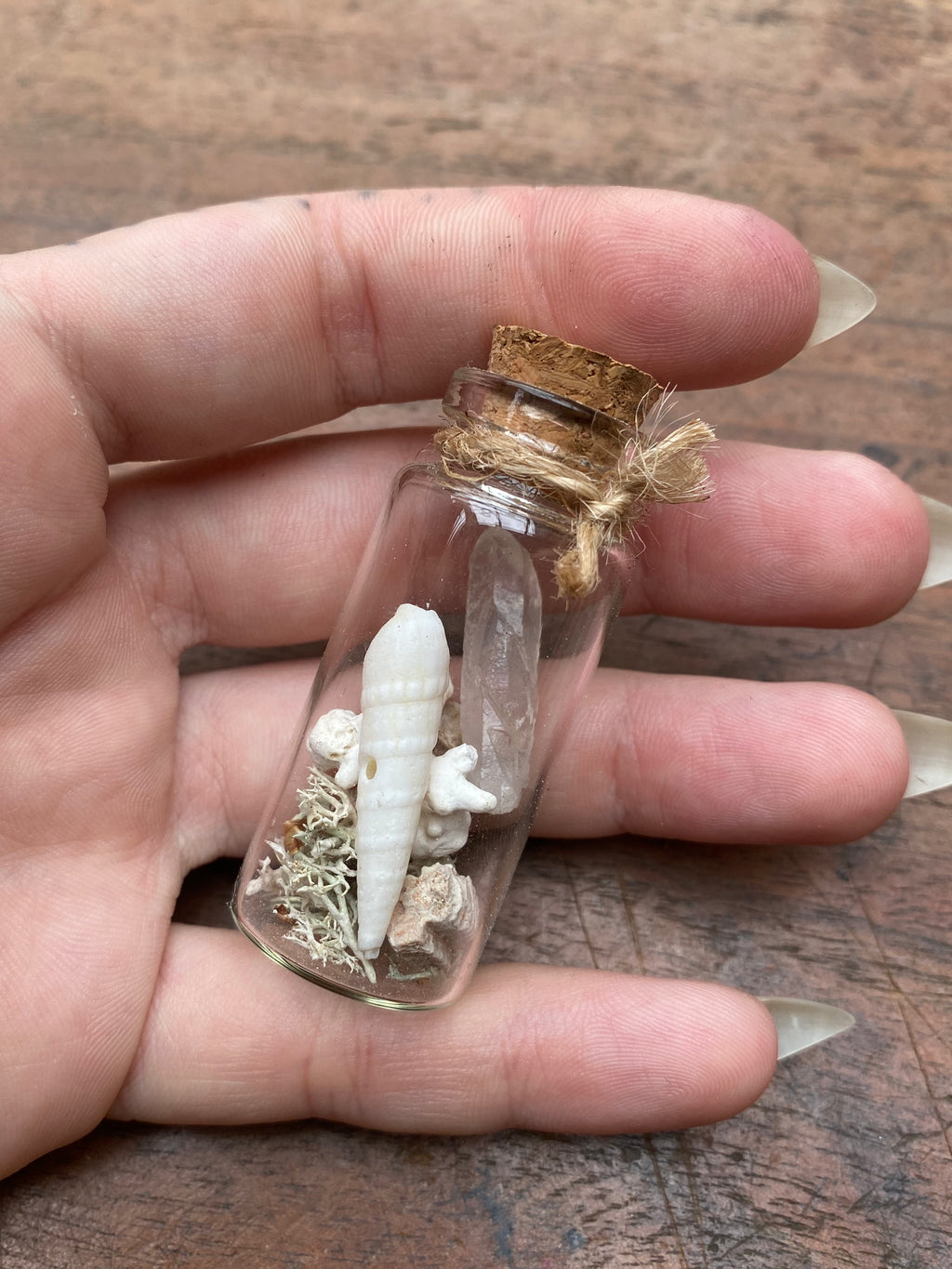 Crystal and Fossilised Shark Teeth Glass Spell Jar
