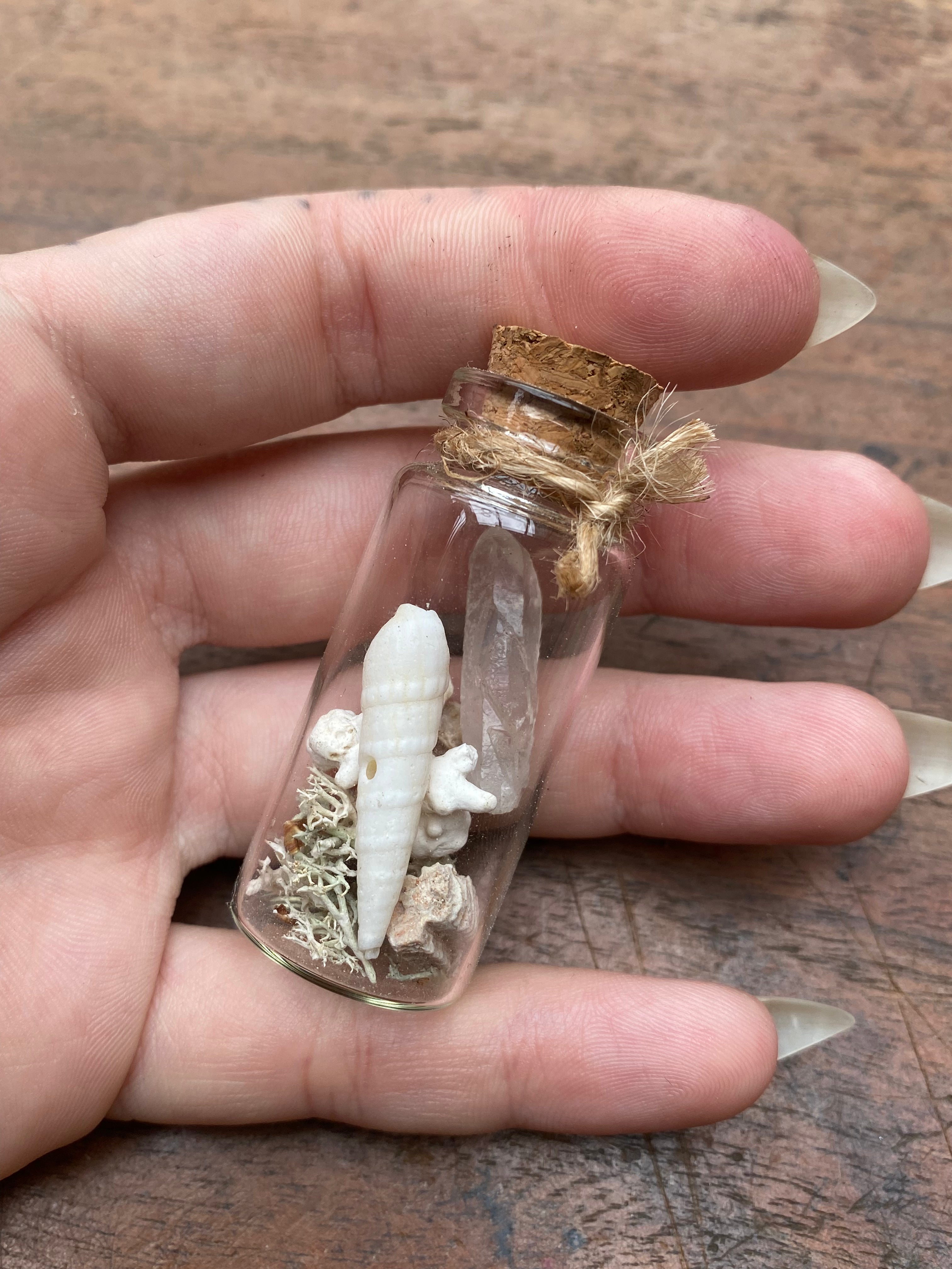 Crystal and Fossilised Shark Teeth Glass Spell Jar
