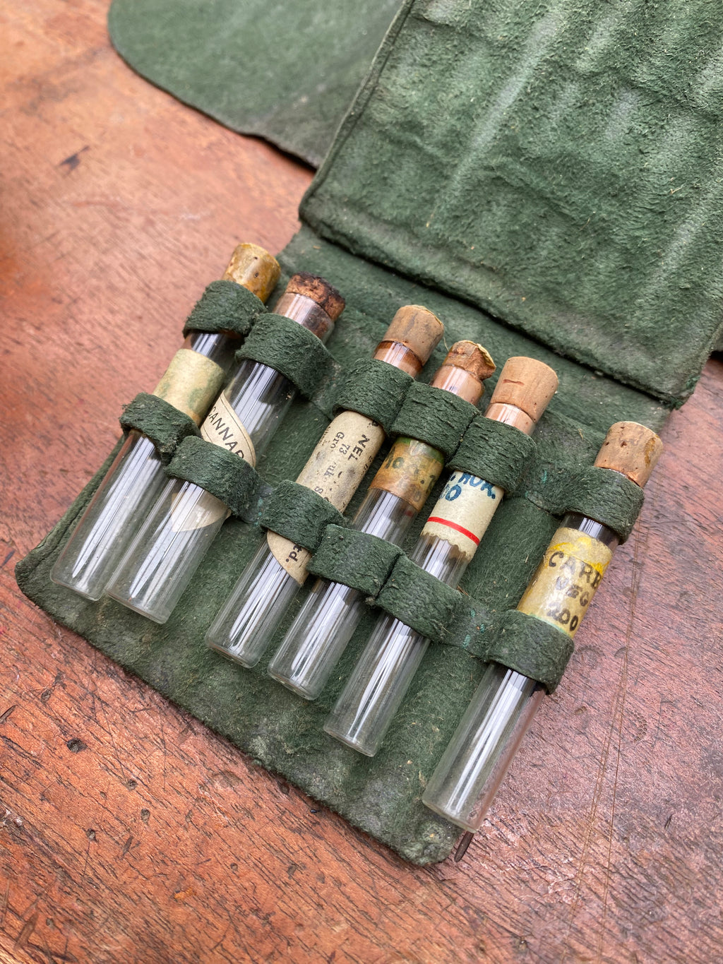 Vintage Green Leather Case Homeopathic Kit
