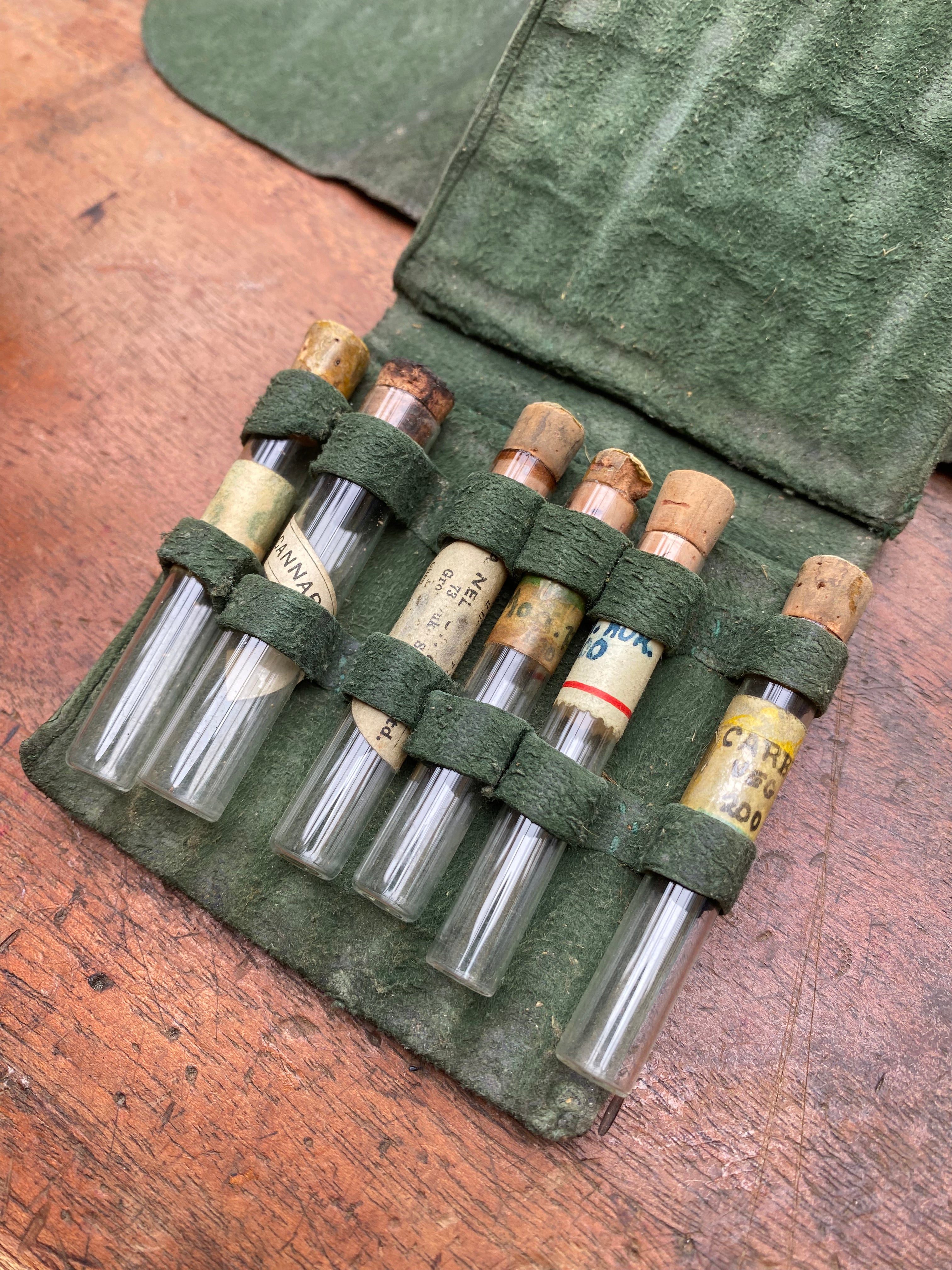 Vintage Green Leather Case Homeopathic Kit