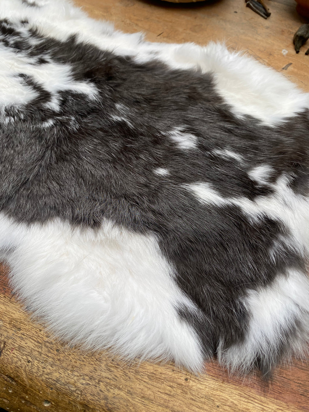 Black and White Rabbit Pelt for Divination, Rune Casting and Tarot Reading