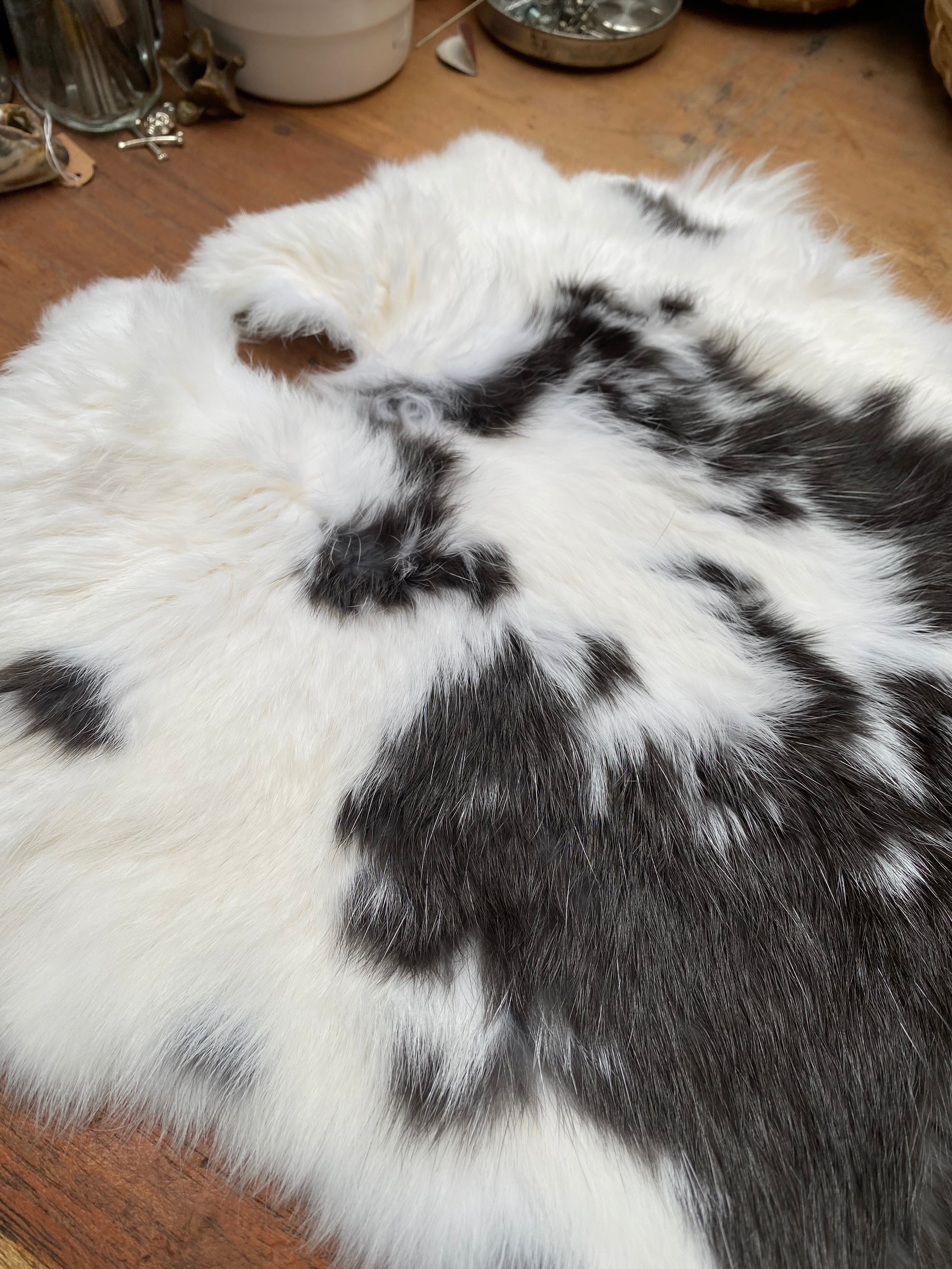 Black and White Rabbit Pelt for Divination, Rune Casting and Tarot Reading
