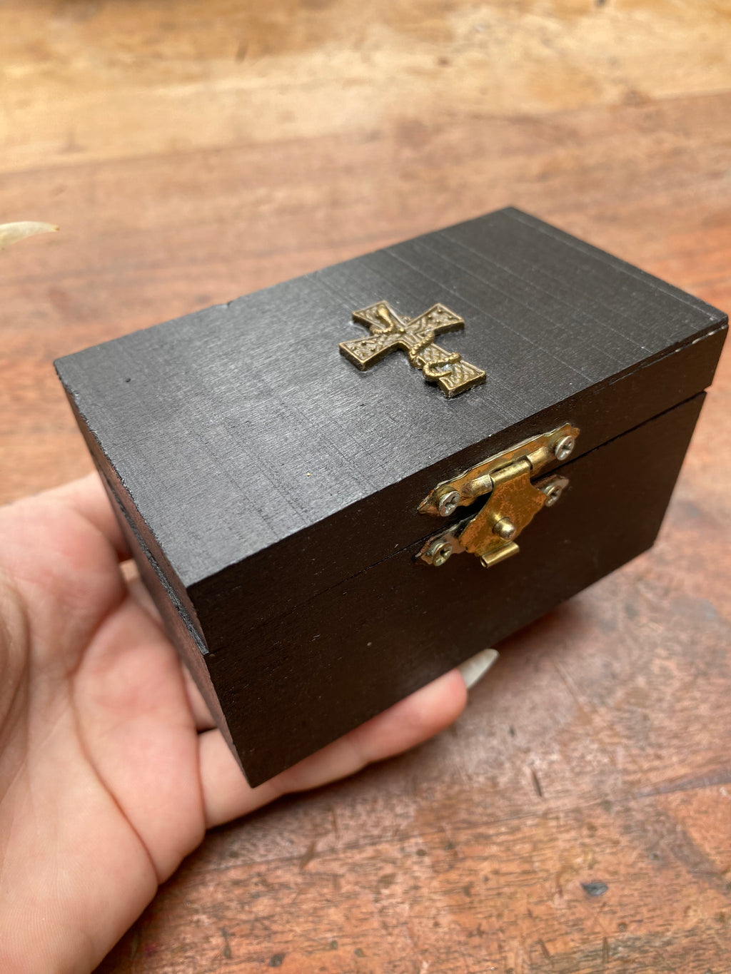 Taxidermy Crow Head in Black Wooden Box