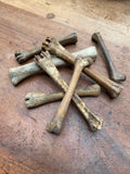Fossilised Mudlarked Animal Bones