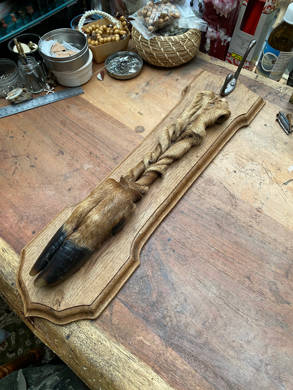 Large Twisted Deer Leg Coat Hanger Wall Mount