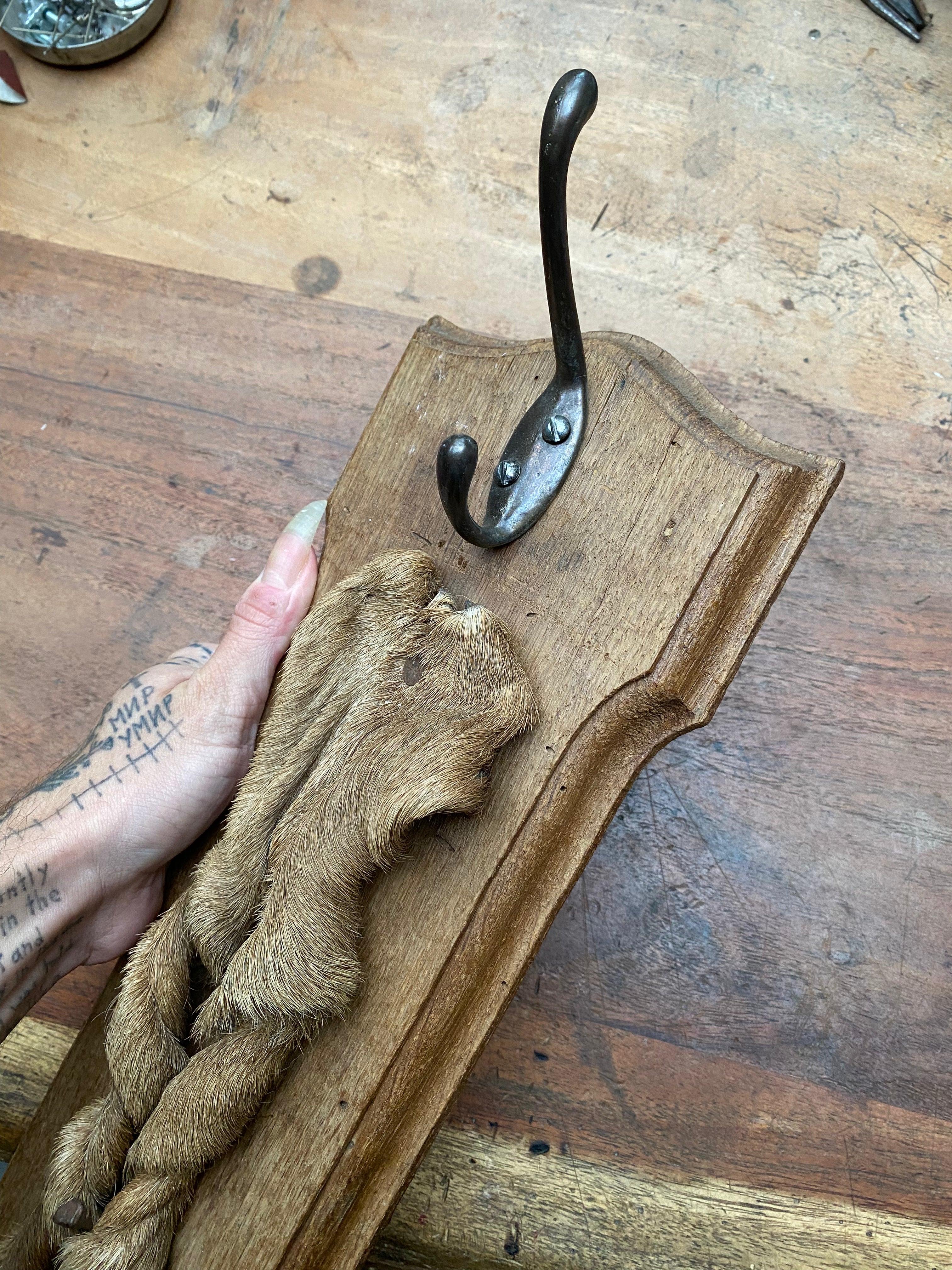 Large Twisted Deer Leg Coat Hanger Wall Mount