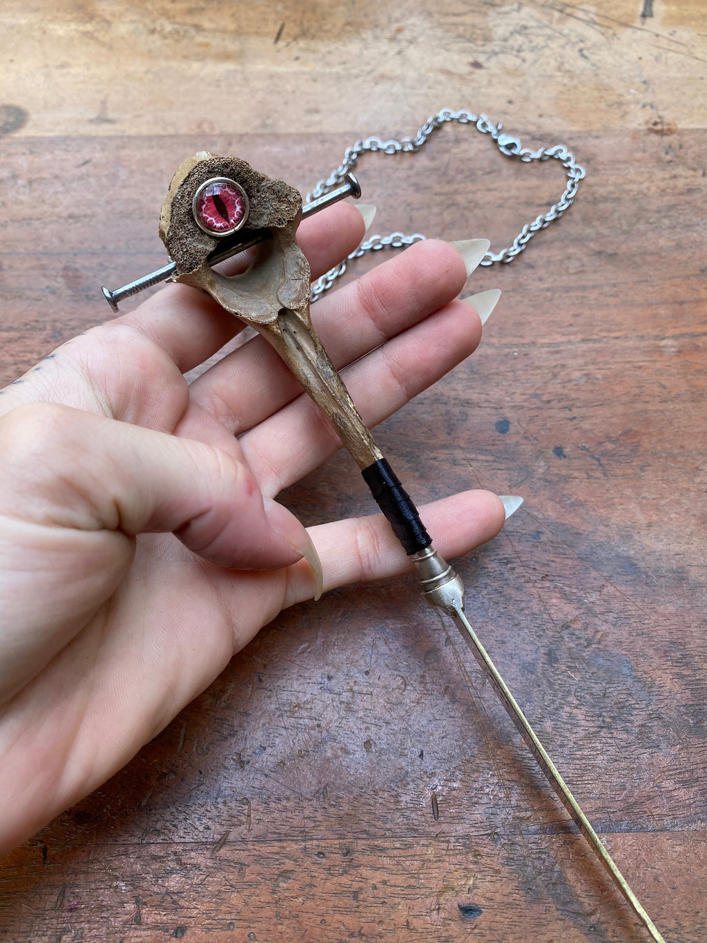 Mudlarked Vertebrae with Red Eye and Nails Dagger Necklace