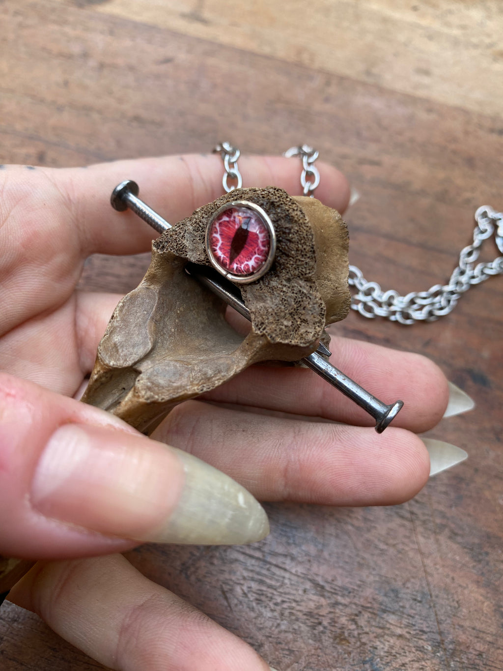 Mudlarked Vertebrae with Red Eye and Nails Dagger Necklace