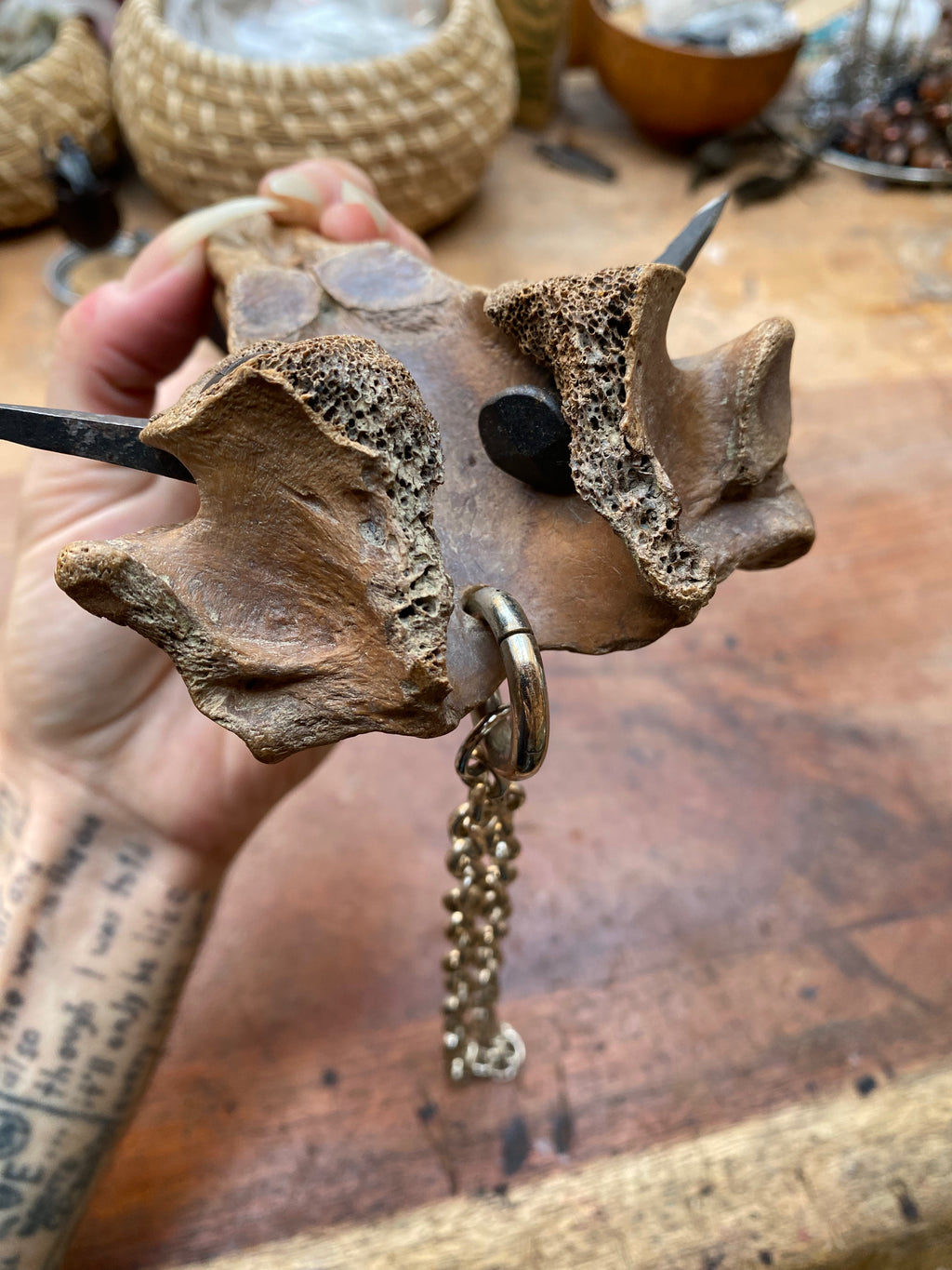 Heavy Mudlarked Vertebrae and Scribing Nails Cleaver