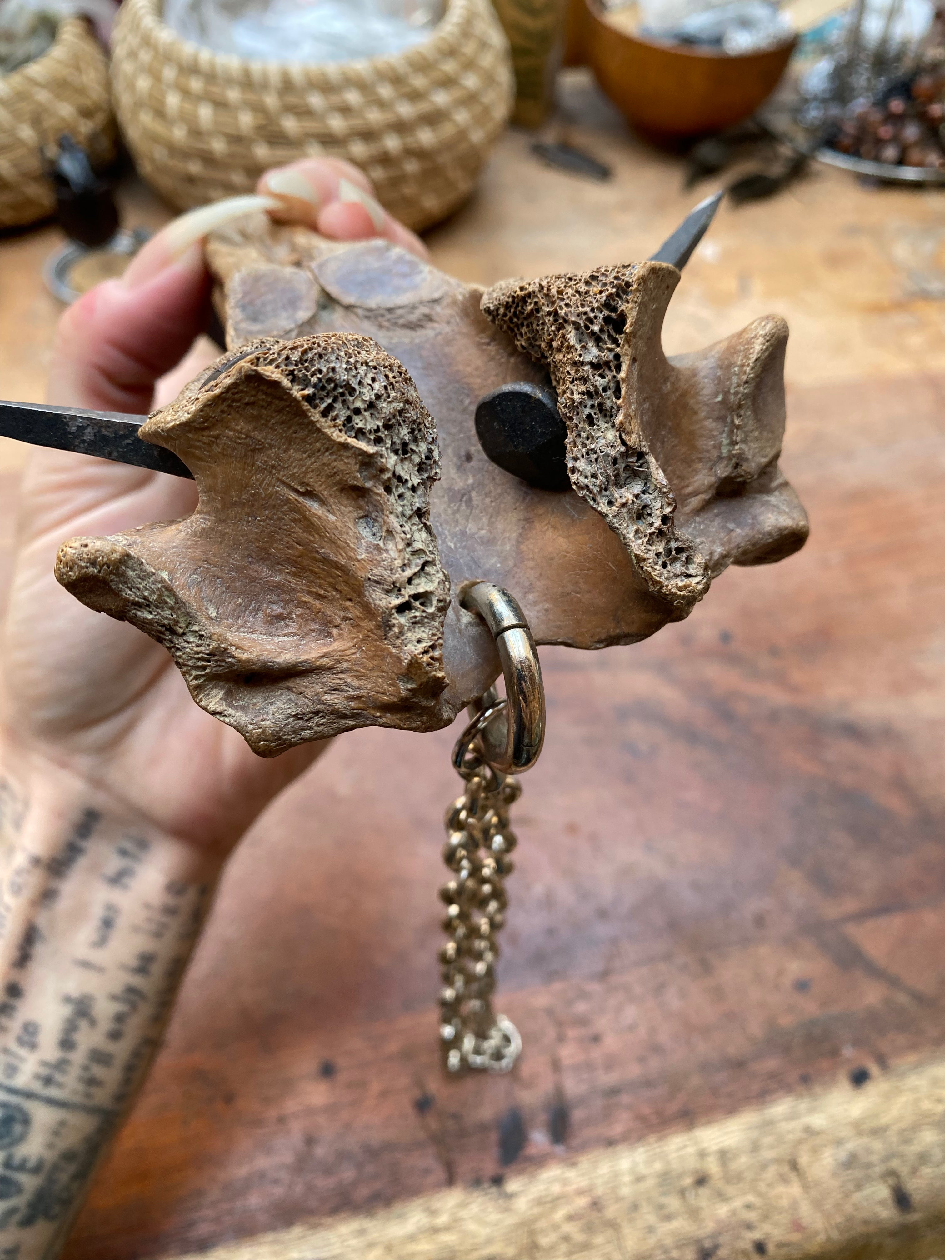 Heavy Mudlarked Vertebrae and Scribing Nails Cleaver