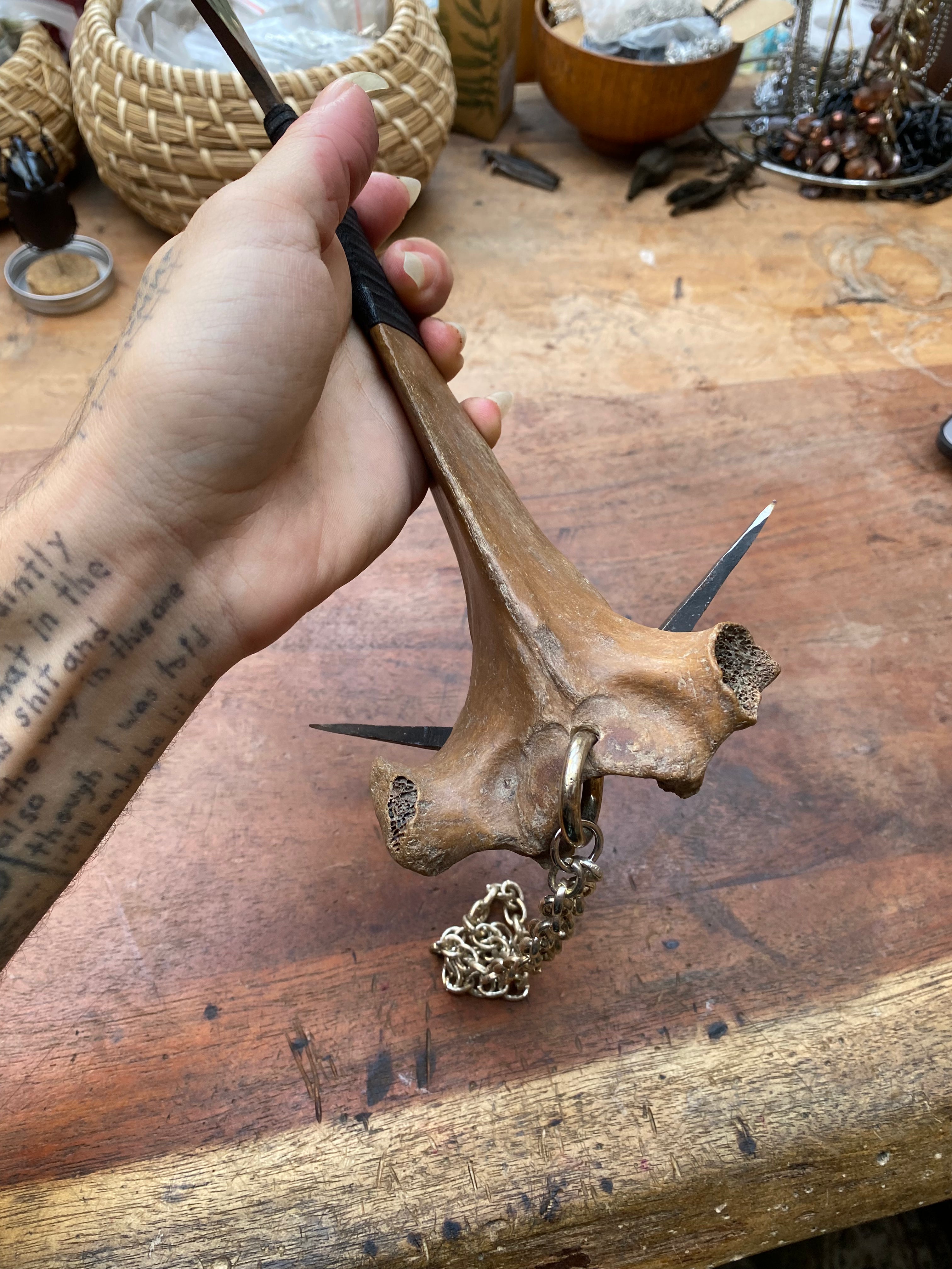 Heavy Mudlarked Vertebrae and Scribing Nails Cleaver