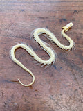 Small Complete Snake Skeleton