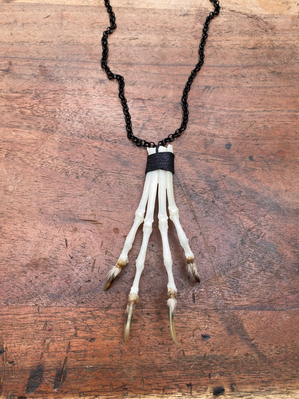 Bone Fox Paw on Black Chain Necklace