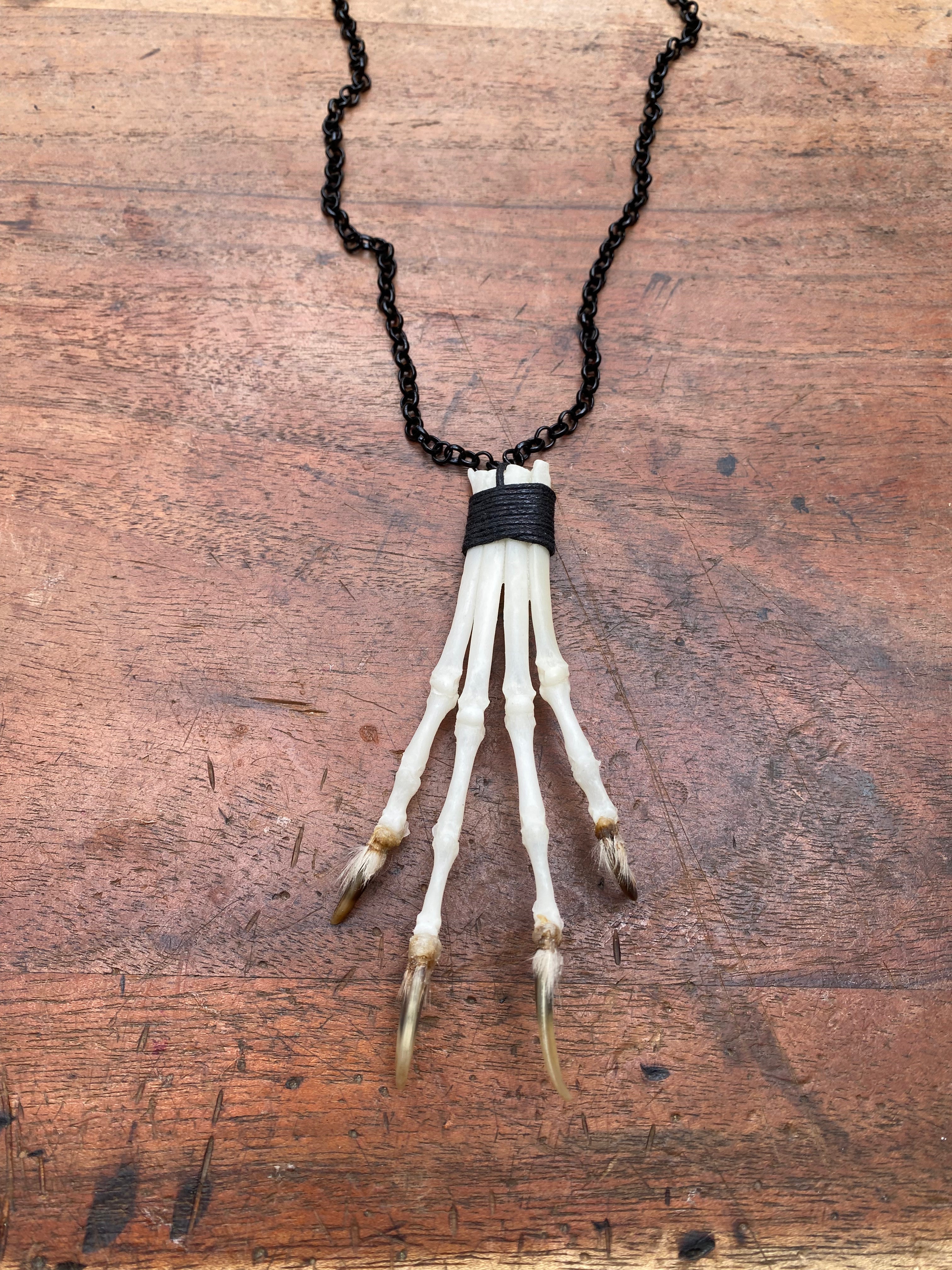 Bone Fox Paw on Black Chain Necklace