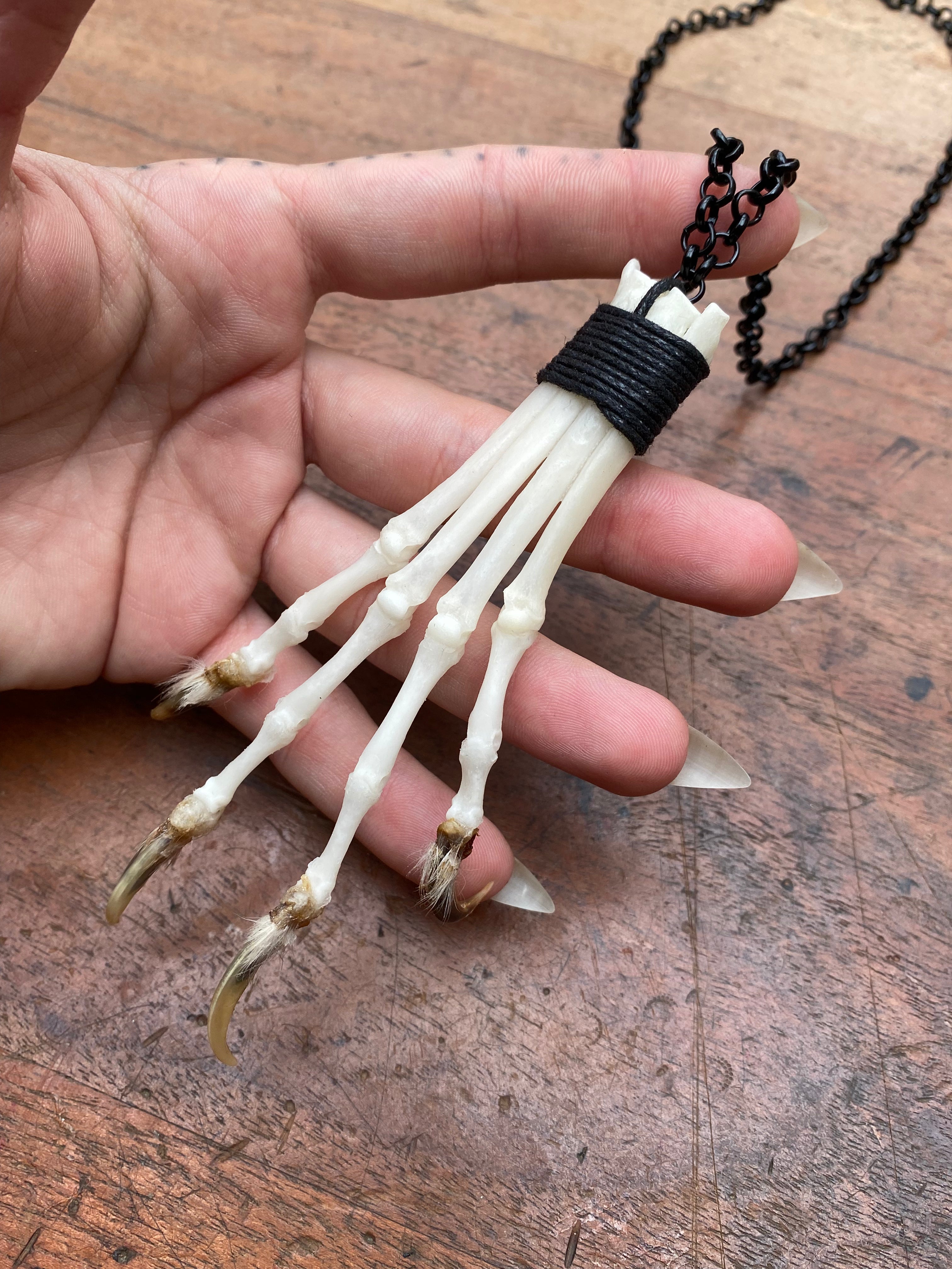Bone Fox Paw on Black Chain Necklace