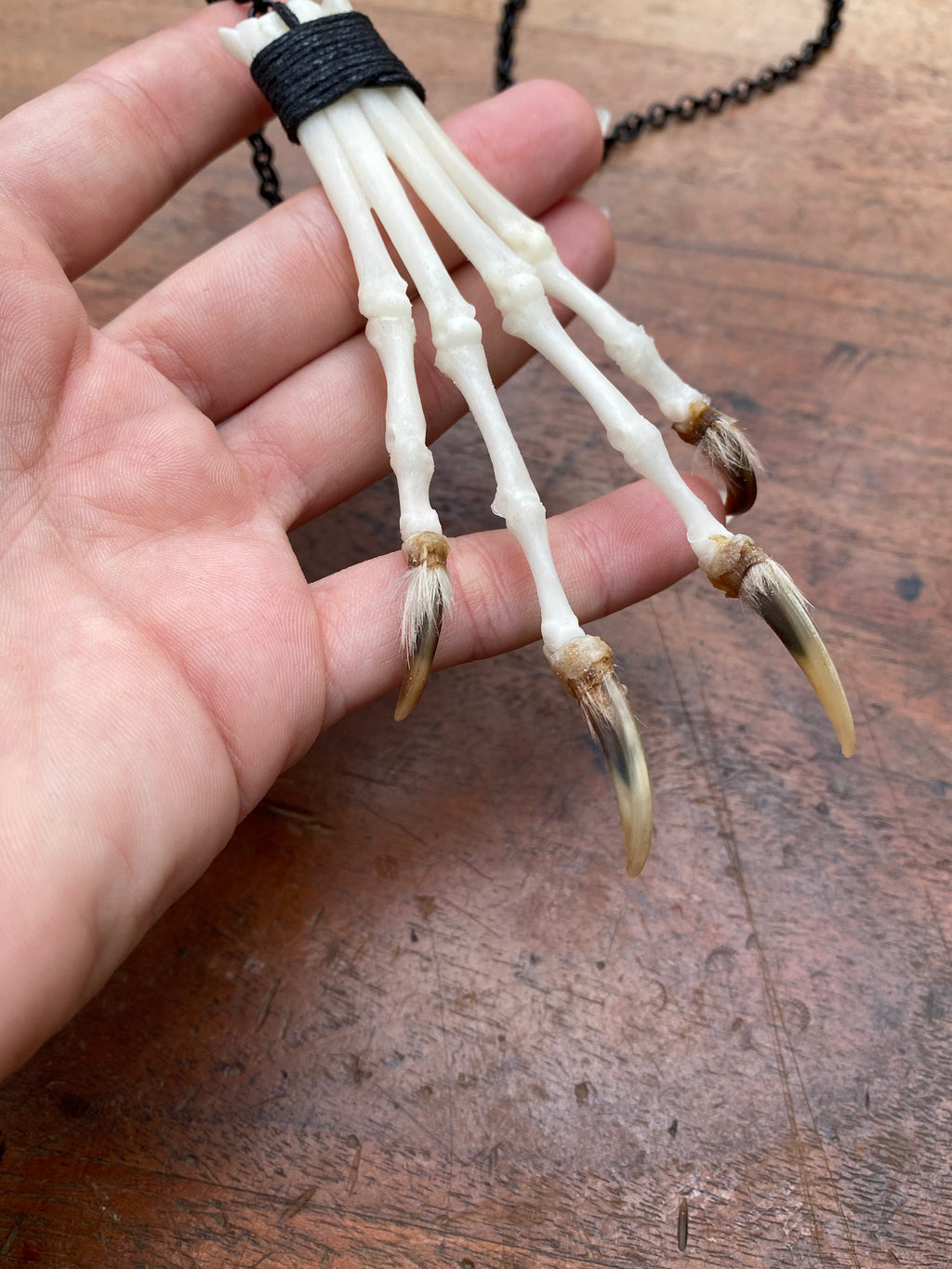 Bone Fox Paw on Black Chain Necklace