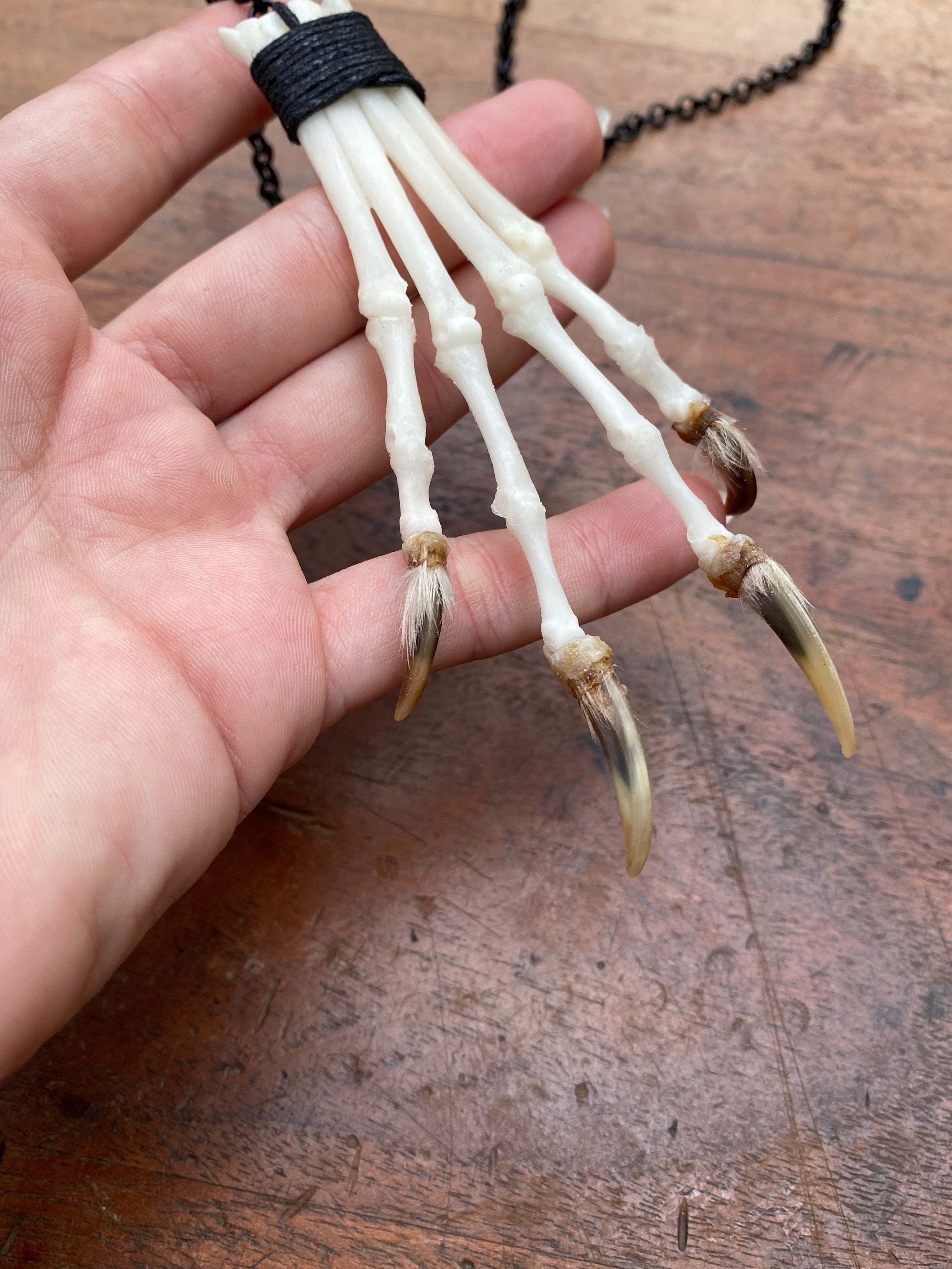 Bone Fox Paw on Black Chain Necklace