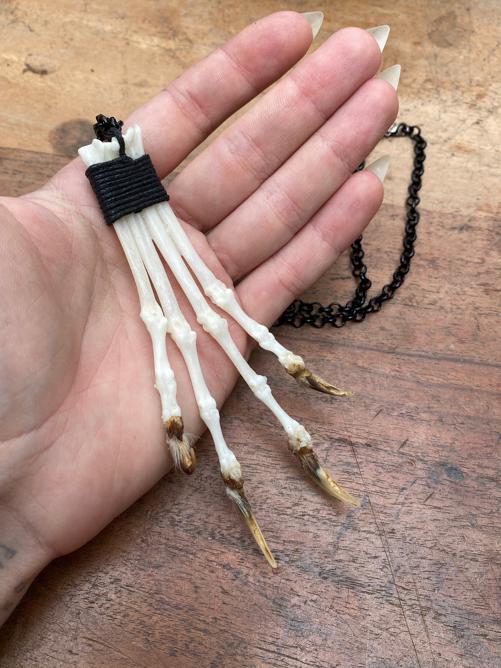 Bone Fox Paw on Black Chain Necklace
