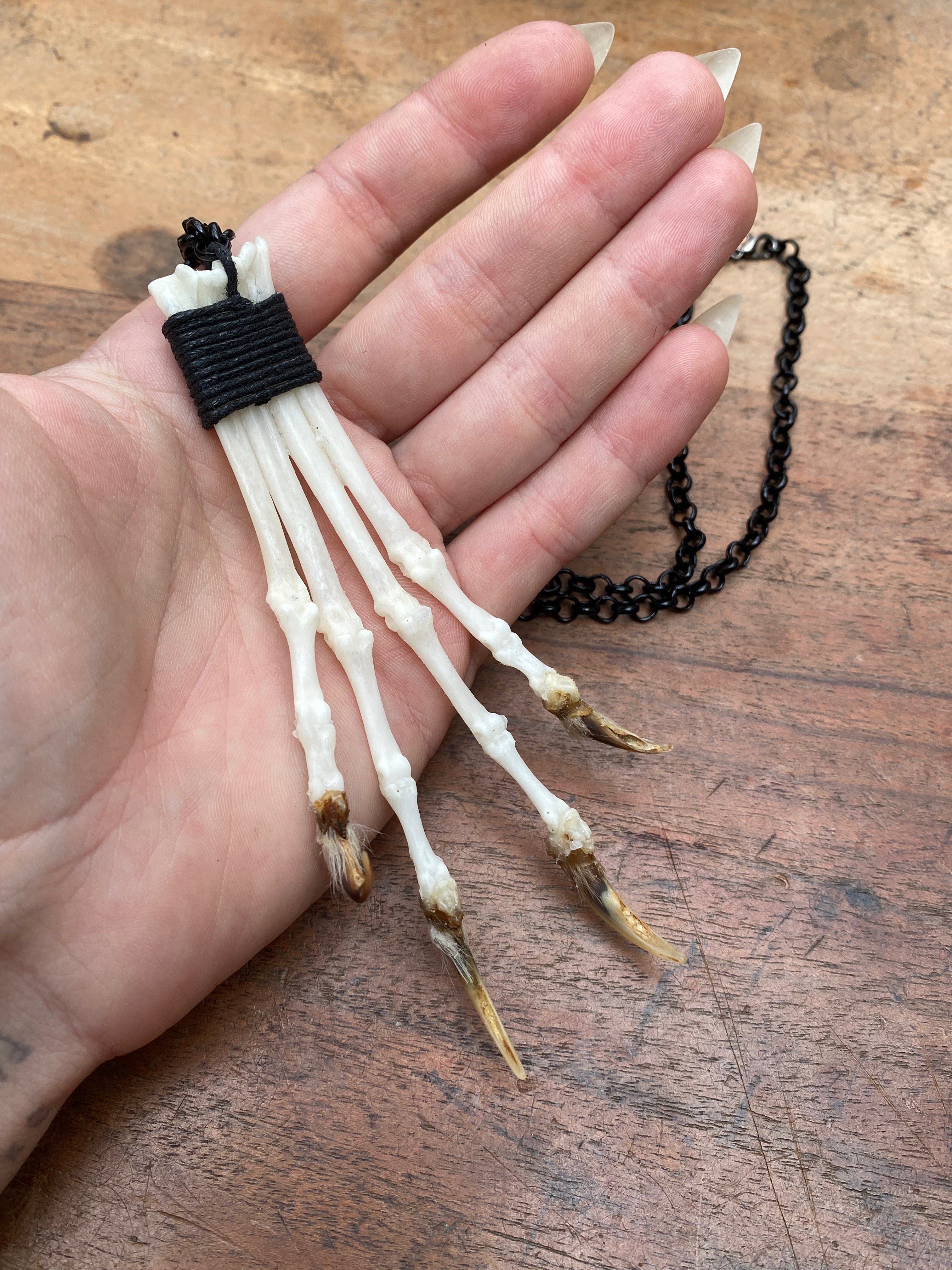 Bone Fox Paw on Black Chain Necklace