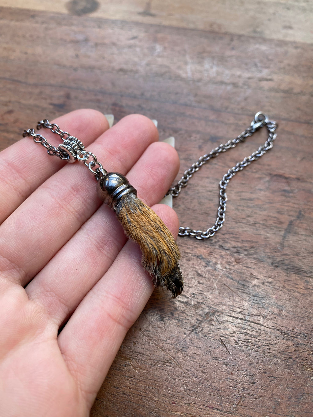 Squirrel Paw on a Chain Necklace