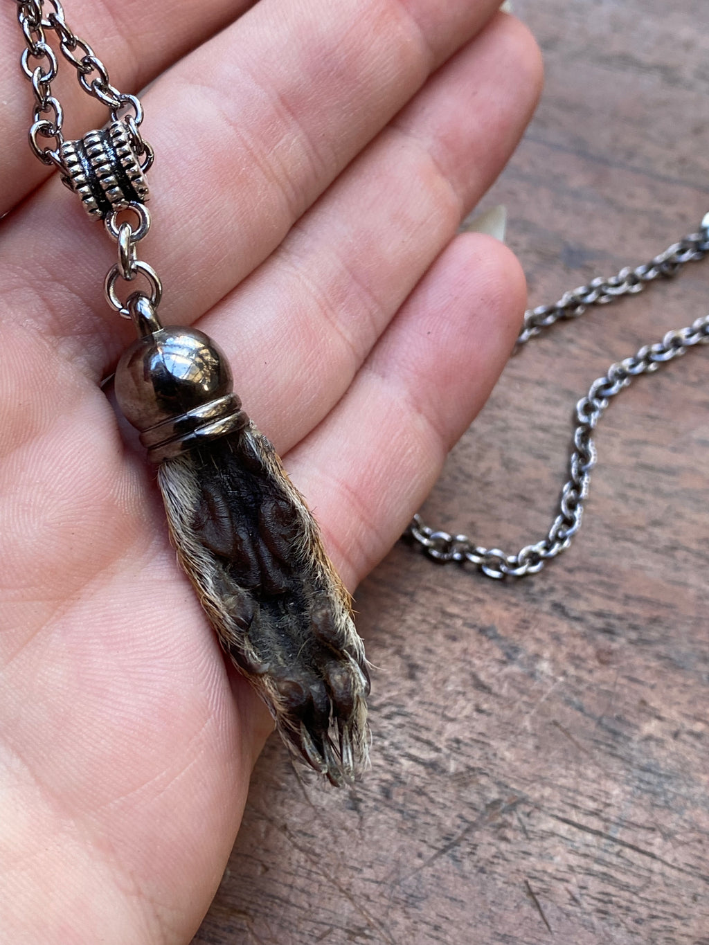 Squirrel Paw on a Chain Necklace