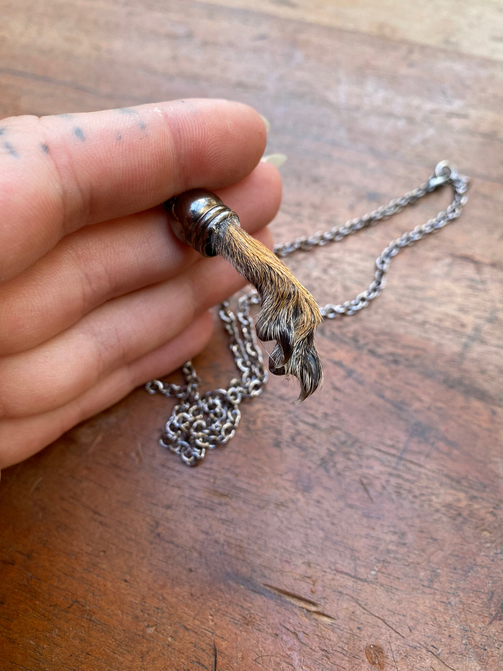 Squirrel Paw on a Chain Necklace